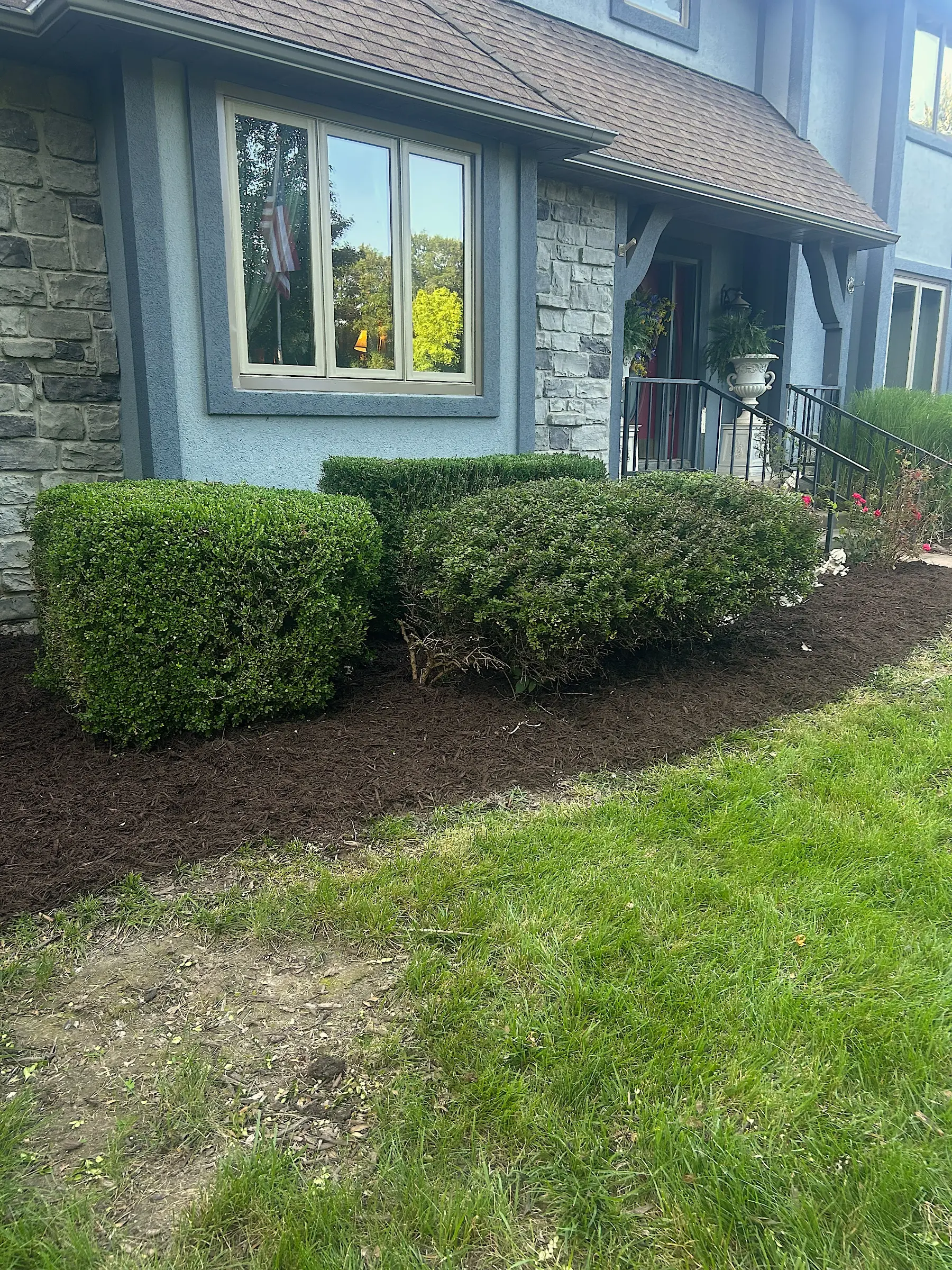 Landscaping with shrubs and plants